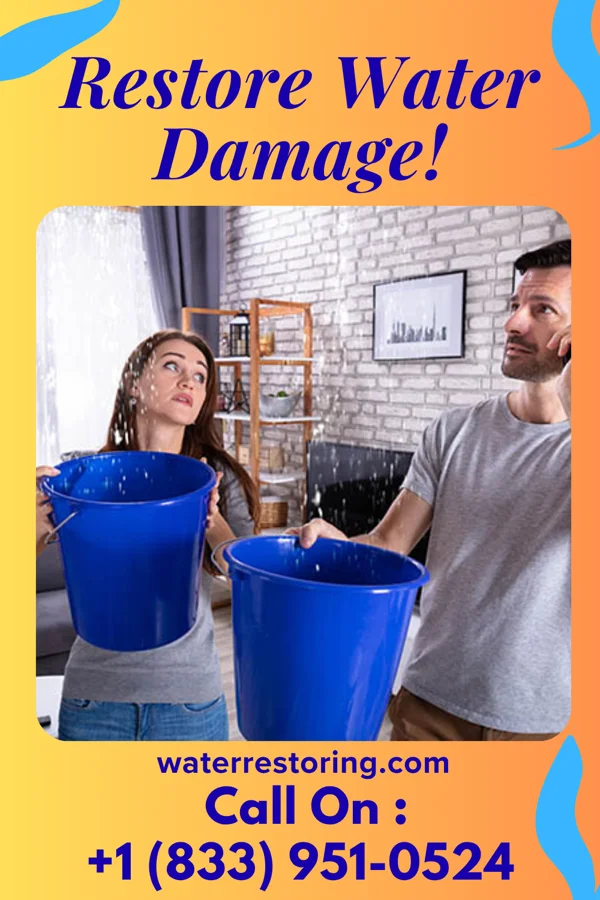 water restoration Prestige Water Removal Specialists New Hackensack