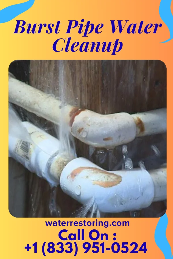 Burst Pipe Water Cleanup in New Hackensack, NY