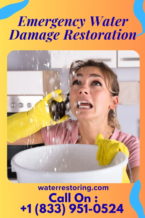 Emergency Water Damage Restoration in New Hackensack, NY