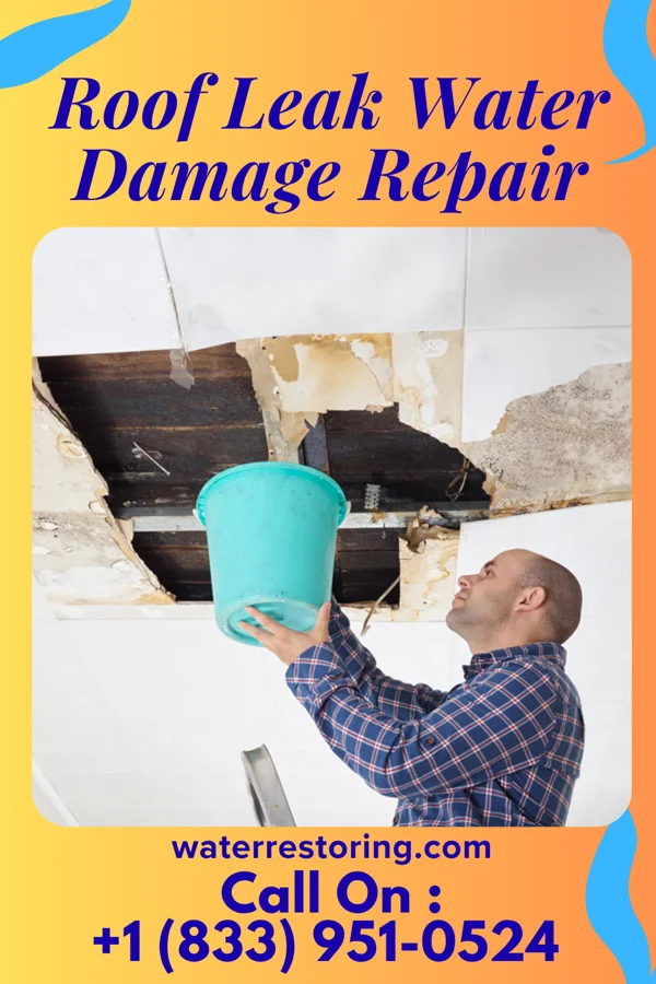 Roof Leak Water Damage Repair in New Hackensack, NY
