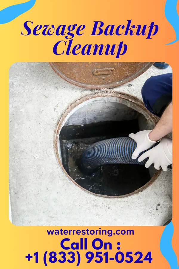 Sewage Backup Cleanup in New Hackensack, NY