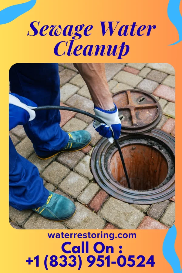 Sewage Water Cleanup in New Hackensack, NY