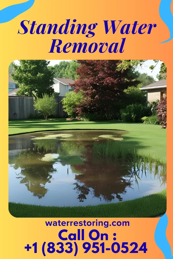 Standing Water Removal in New Hackensack, NY